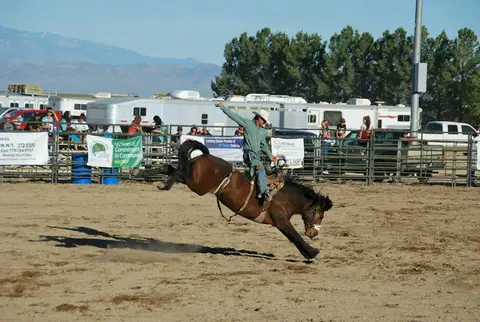 A cowboy rides a bucking horse in an arena during a rodeo.