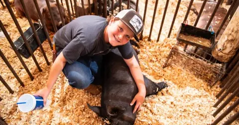 A young boy smiles while kneeling in a pen with a pig.