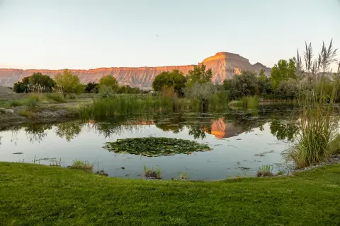 A tranquil pond with lily pads reflects a distant plateau and surrounding greenery.