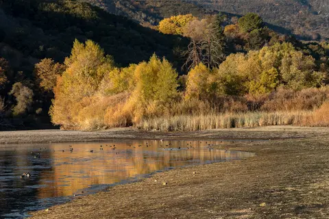 A scenic view of a body of water with autumn-colored trees along the shore.