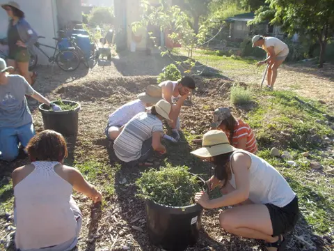 Several people working together in a community garden.