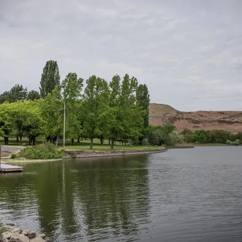 A scenic view of a calm lake with lush green trees and rolling hills in the background under an overcast sky.