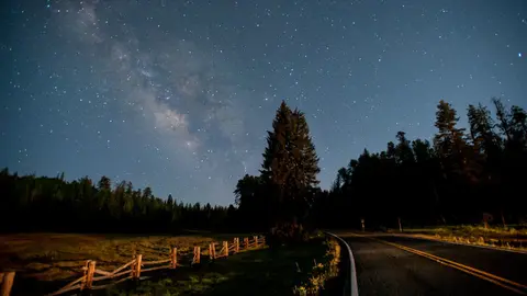 A night sky filled with stars over a rural road and trees.