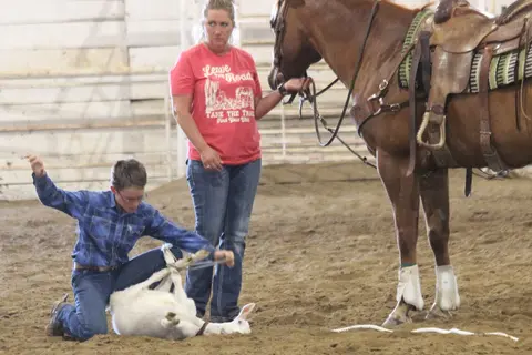 A person tying up a goat in an indoor arena while another person stands nearby with a horse.