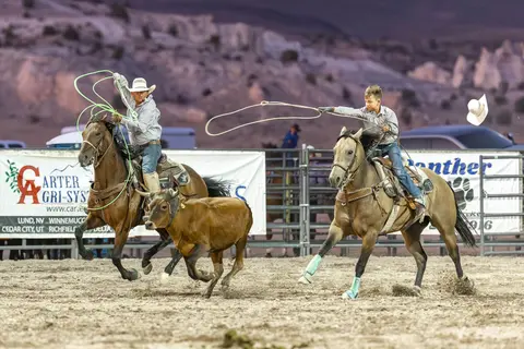 Two cowboys on horseback rope a calf in an arena.