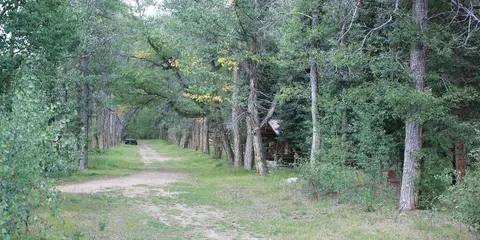 A dirt road winds through a lush forest with tall trees and a small cabin nestled among them.