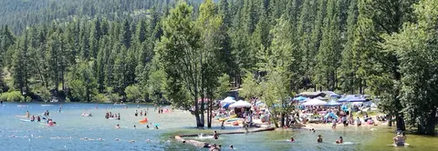 People enjoy swimming and relaxing on a crowded beach alongside a lake surrounded by pine trees.
