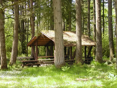 A wooden picnic shelter sits in a lush forest surrounded by tall trees and green grass.