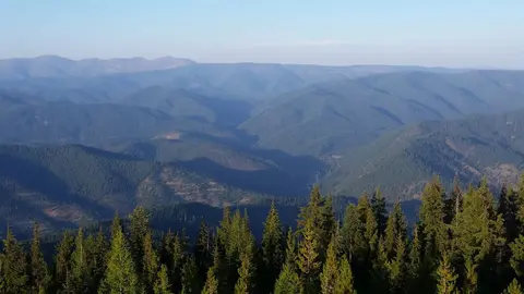 A scenic view of rolling mountains covered in dense forests under a clear sky.