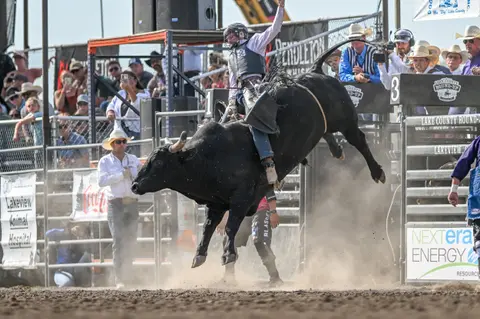 A cowboy rides a bucking bull at a rodeo event in front of a crowd.