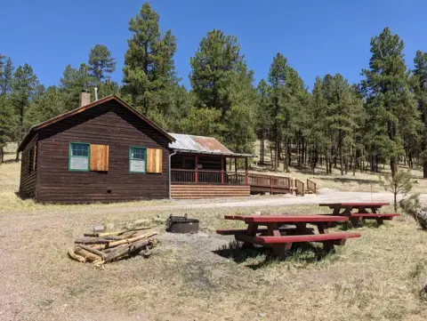 A rustic wooden cabin with a porch stands near a forest with picnic tables and a fire pit.