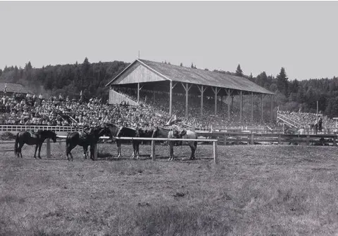 A historic black and white photograph showing horses tethered in front of a large grandstand filled with spectators.