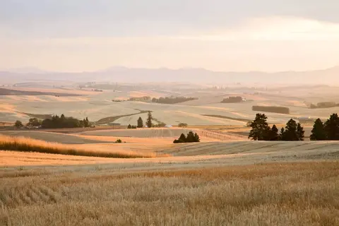A wide landscape of rolling golden hills and distant mountains under a soft sky.
