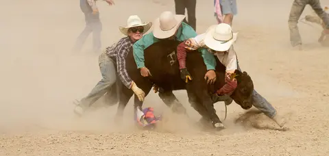 Three people wrestling a calf in a dusty arena.