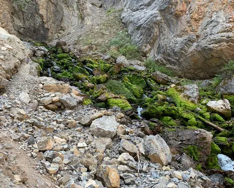 A rocky slope covered in green moss with a stream running through it.