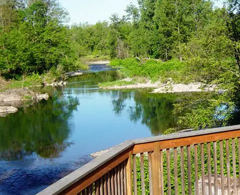 A view of a river and surrounding trees from a wooden viewing platform.