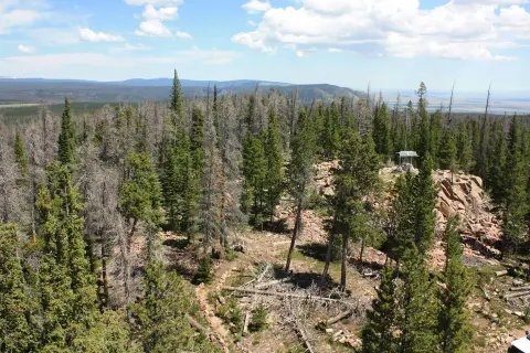 An elevated view of a forest landscape with green and dead trees under a partly cloudy sky.