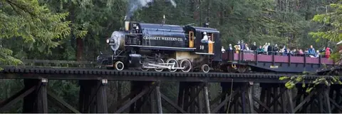 A steam train pulling passenger cars across a wooden trestle bridge through a forest.