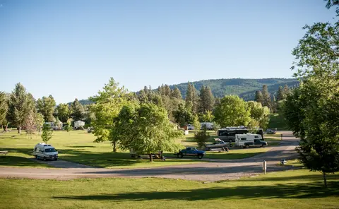 A campground with RVs and cars parked among green trees and grass.