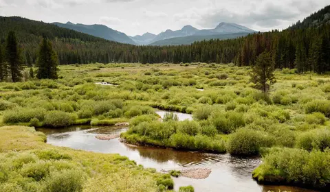 A winding stream flows through a lush green valley surrounded by forests and mountains.