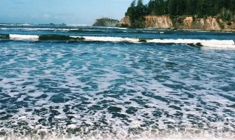 Waves washing ashore near a rocky coastline with trees.