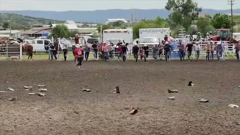 People run across a rodeo arena.