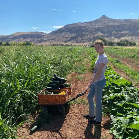 A person stands in a field with a cart of harvested vegetables in front of mountains.