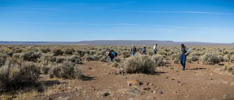 People walking through an arid landscape with sparse shrubs.
