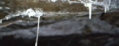 A close-up view of stalactites hanging from a cave ceiling.