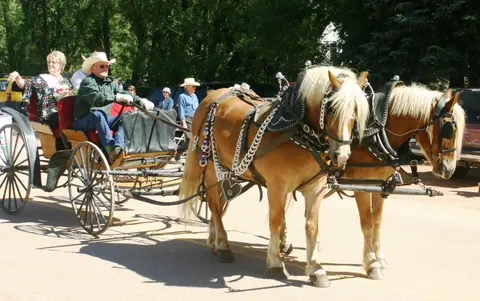 A team of draft horses pulls a carriage with people in cowboy hats.