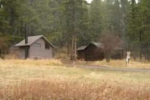 Two small cabins nestled in a clearing surrounded by a dense forest.
