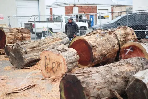 A man stands behind several large logs outdoors.