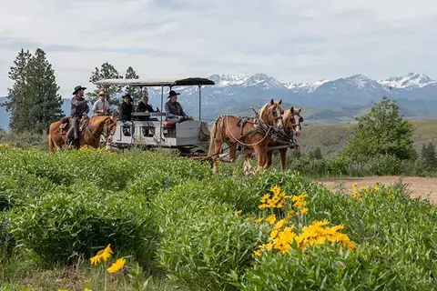 People ride in a horse-drawn carriage through a scenic field with mountains in the background.