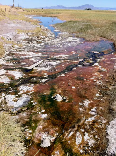 Runoff channel at Alvord Hot Springs.
