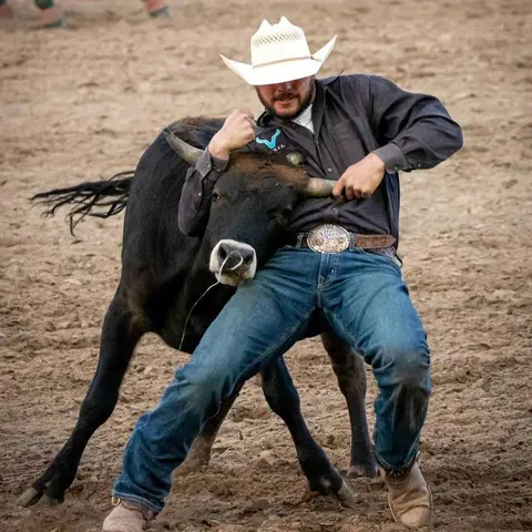 A cowboy wrestles a steer in an arena.