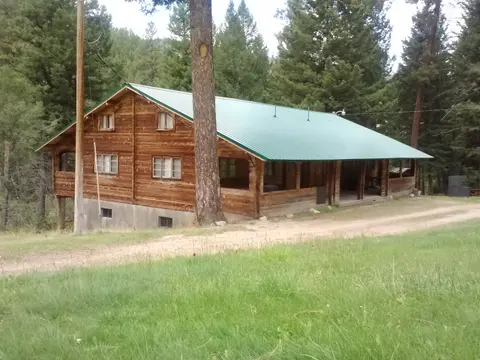 A log cabin nestled in a wooded area with a green metal roof.