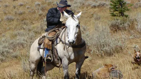 A man on a white horse riding through a dry, grassy landscape with dogs nearby.