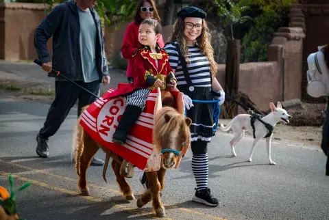 A child in a costume rides a pony dressed as popcorn down a street.