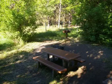 A picnic table and grill set up in a wooded area.