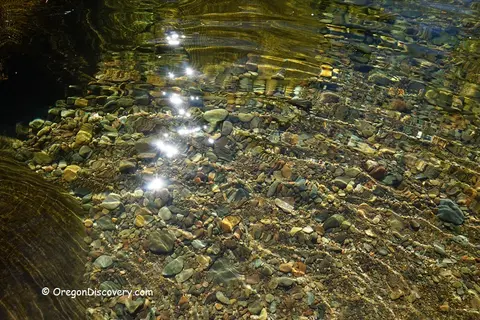Sunlight sparkles on the clear water of a shallow stream, revealing smooth stones on the bed below.