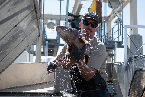 A man handles a large fish splashing water in an industrial setting.
