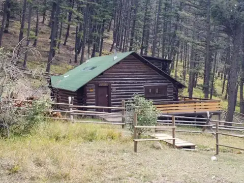 A log cabin sits in a dense forest.
