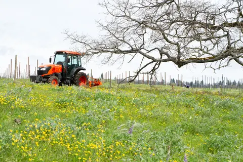 An orange tractor parked in a field with yellow wildflowers beneath a bare tree.