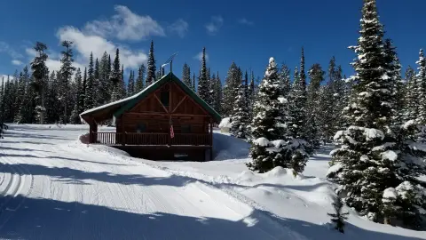 A wooden cabin in a snowy landscape surrounded by pine trees under a clear blue sky.