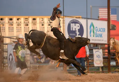 A bull rider rides a bucking bull at a rodeo.