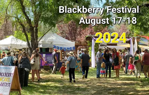 Crowds at Round Valley Blackberry Festival.