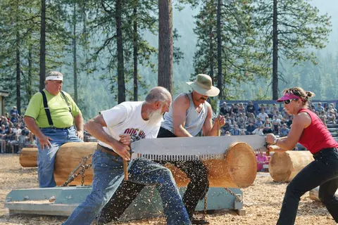 People sawing a log in a logging competition.