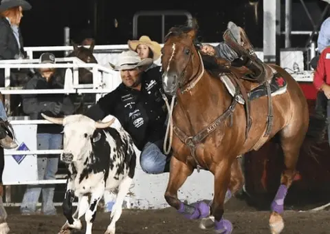 A cowboy in a rodeo leaps from a running horse toward a steer.