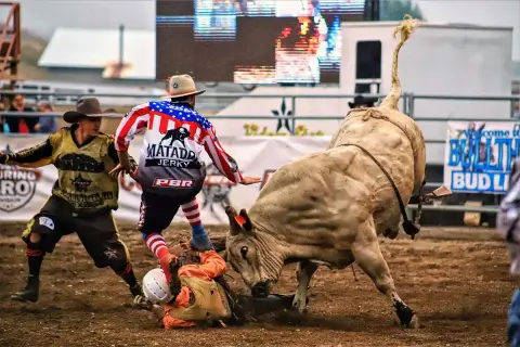 A bull rider and clowns in a rodeo arena during an event.