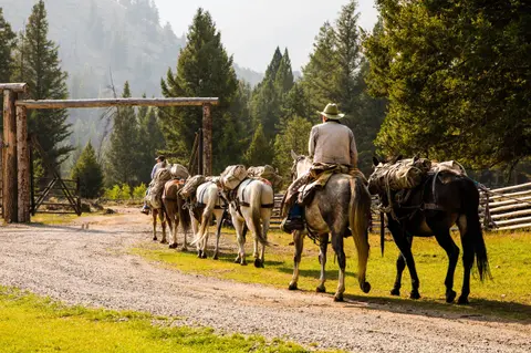 A line of horseback riders and pack animals travel along a dirt path near a wooden gate.